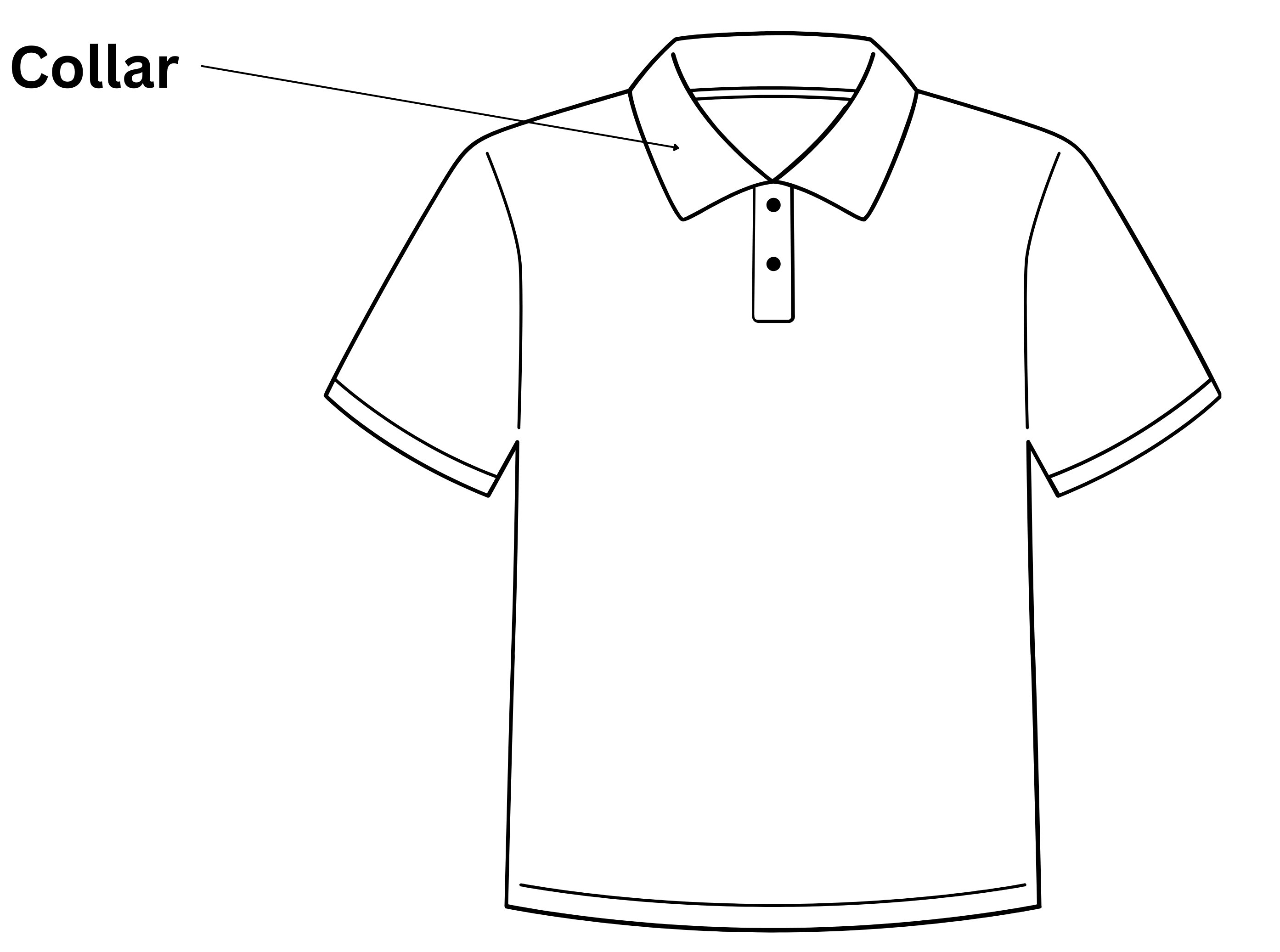 Collor 1 e1715321688852